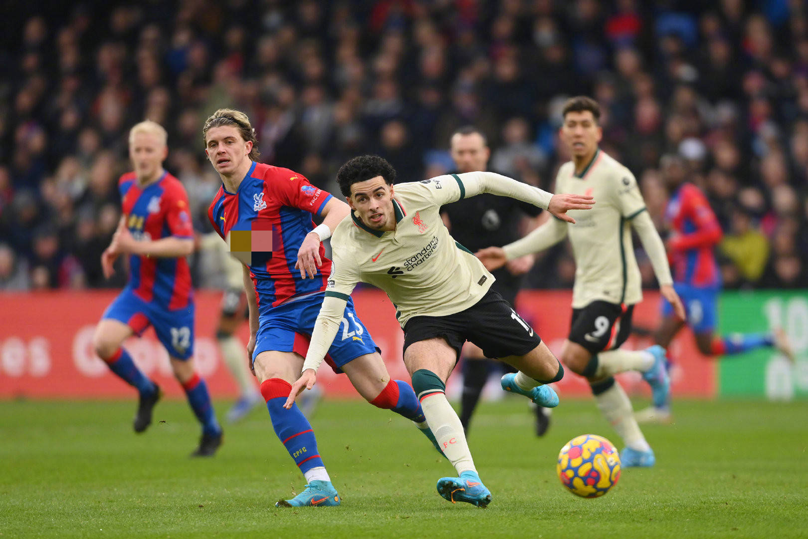 女足运动发 女足运动发