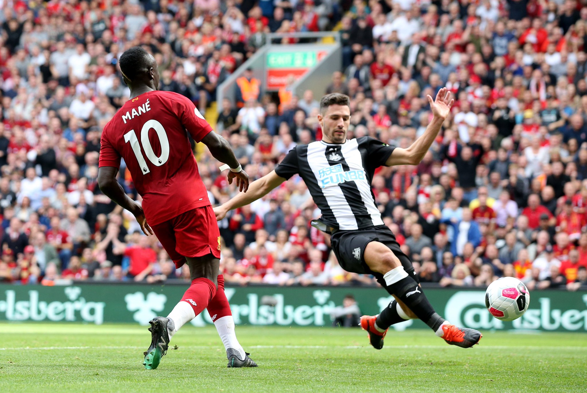 文化归属的 文化归属的